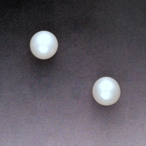 Click to view detail for MB-E196P Earrings, Akoya Pearl Studs $180